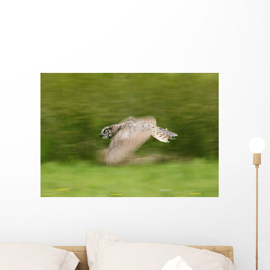 Great Horned Owl Wall Mural