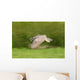 Great Horned Owl Wall Mural
