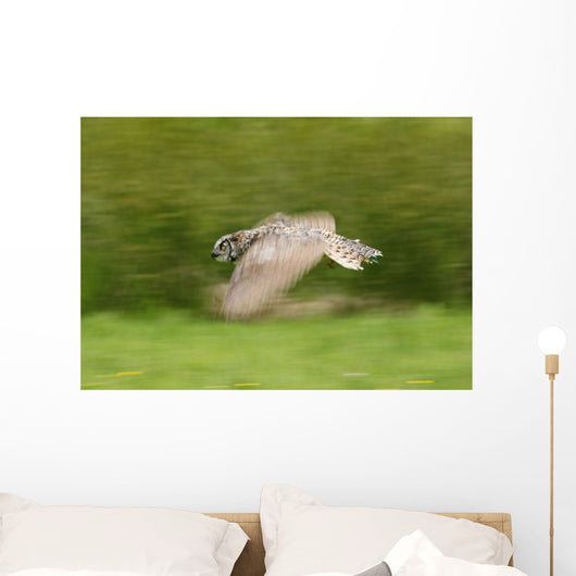 Great Horned Owl Wall Mural