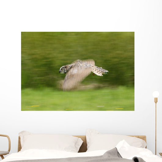 Great Horned Owl Wall Mural