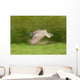 Great Horned Owl Wall Mural