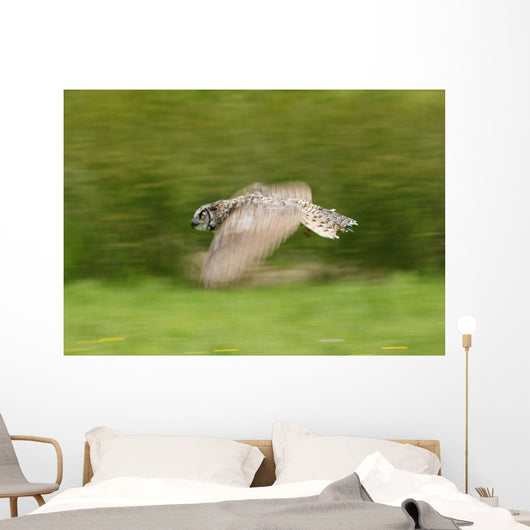 Great Horned Owl Wall Mural