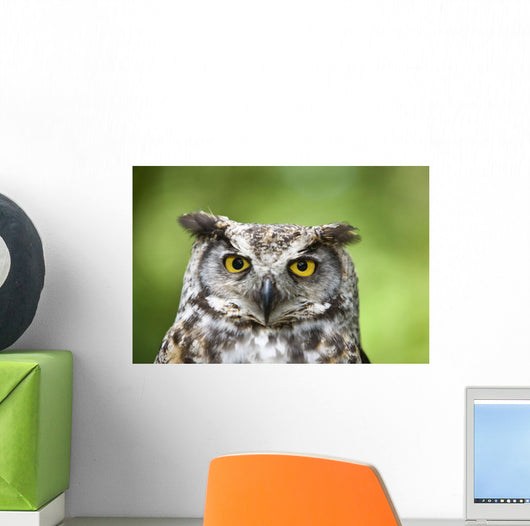 Great Horned Owl Wall Mural