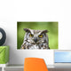 Great Horned Owl Wall Mural