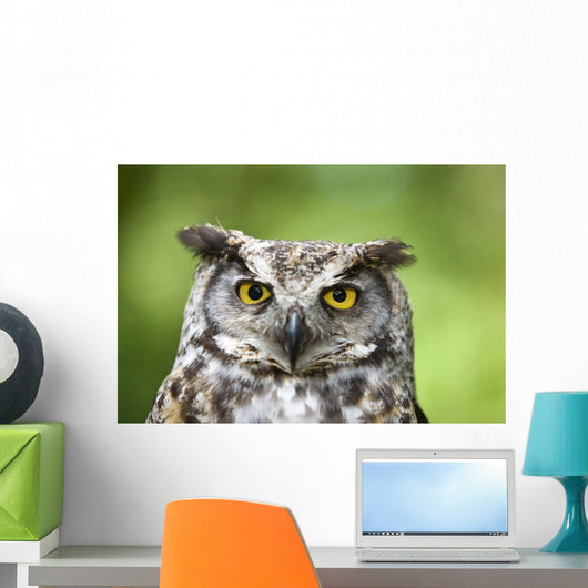 Great Horned Owl Wall Mural