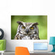 Great Horned Owl Wall Mural