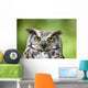 Great Horned Owl Wall Mural