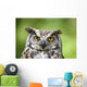 Great Horned Owl Wall Mural