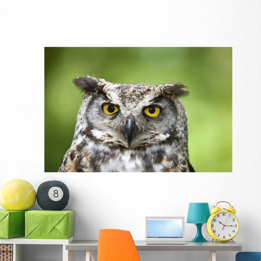 Great Horned Owl Wall Mural