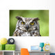 Great Horned Owl Wall Mural