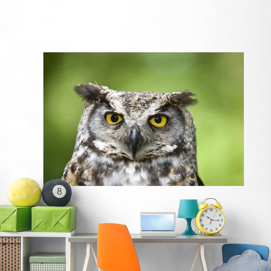 Great Horned Owl Wall Mural