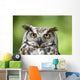 Great Horned Owl Wall Mural