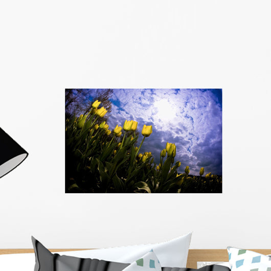 Yellow Tulips Wall Mural