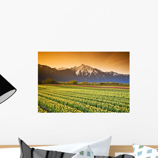 Tulip Cultivation, British Columbia, Canada Wall Mural
