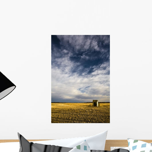 Shack In Field Wall Mural