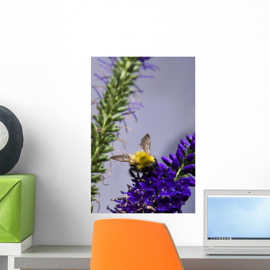 Bee On Purple Flowers Wall Mural