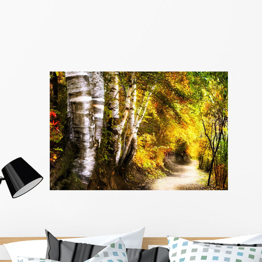 Birch Trees And Path Wall Mural