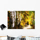 Birch Trees And Path Wall Mural