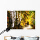 Birch Trees And Path Wall Mural