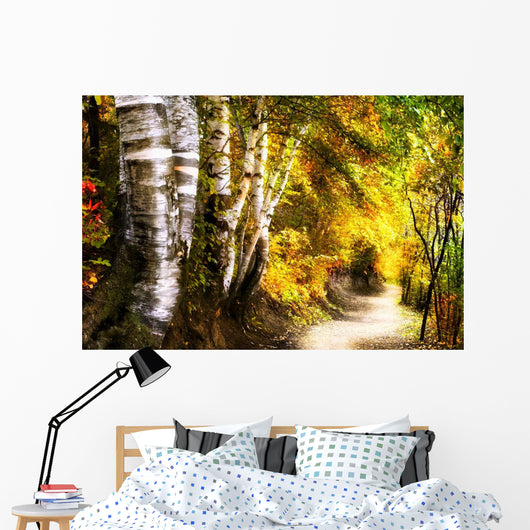 Birch Trees And Path Wall Mural