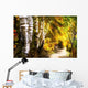 Birch Trees And Path Wall Mural