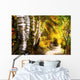 Birch Trees And Path Wall Mural