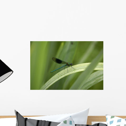 Close-Up Of Dragonfly Perched On Leaf Wall Mural