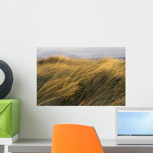 Tall Grass Blowing In The Wind Wall Mural