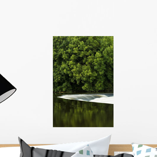 River Boyne, County Meath, Ireland Wall Mural