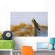 Short-Eared Owl, Alberta, Canada Wall Mural
