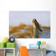 Short-Eared Owl, Alberta, Canada Wall Mural