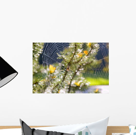 Spider On Web Wall Mural