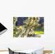 Spider On Web Wall Mural