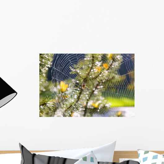 Spider On Web Wall Mural