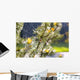 Spider On Web Wall Mural