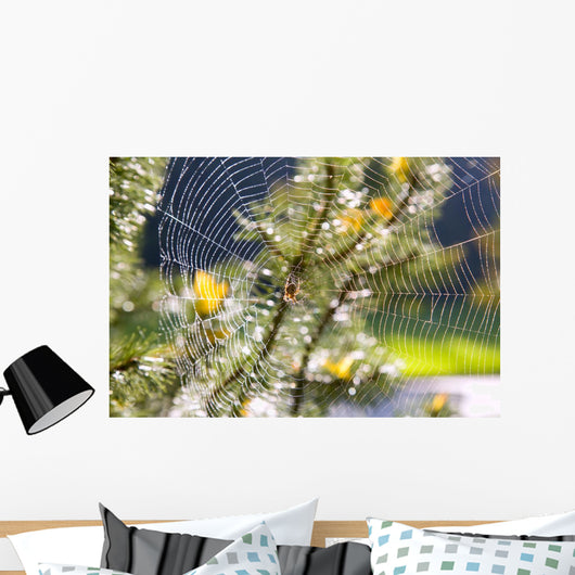 Spider On Web Wall Mural