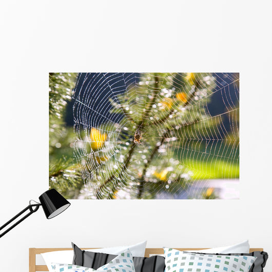 Spider On Web Wall Mural