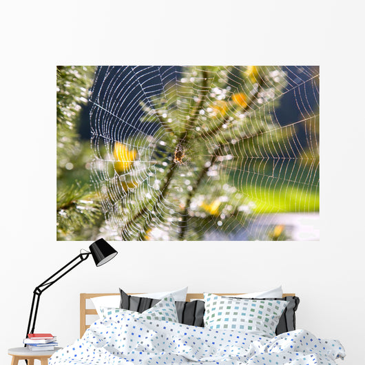 Spider On Web Wall Mural
