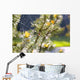 Spider On Web Wall Mural