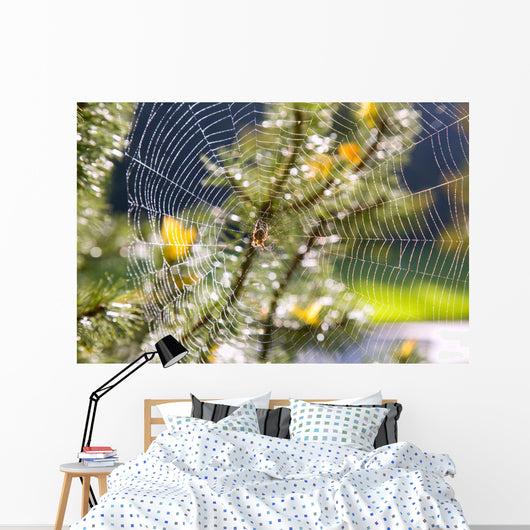 Spider On Web Wall Mural
