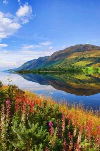 Capture Vibrant Nature Landscape Wall Decal