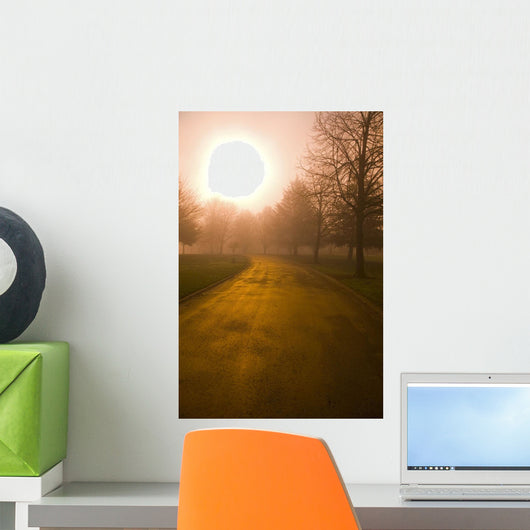 Sunrise Over Country Road, Oregon Of America Wall Mural