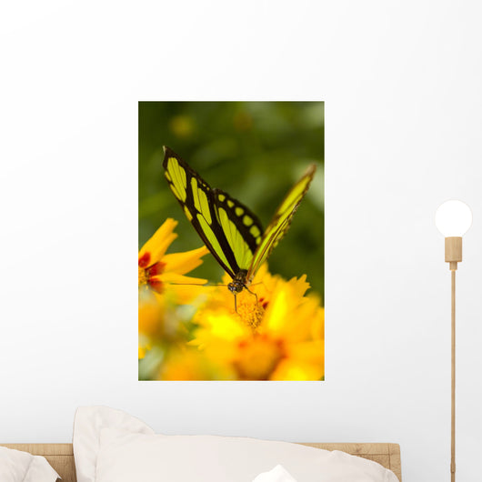 Malachite Butterfly On Flower Wall Mural