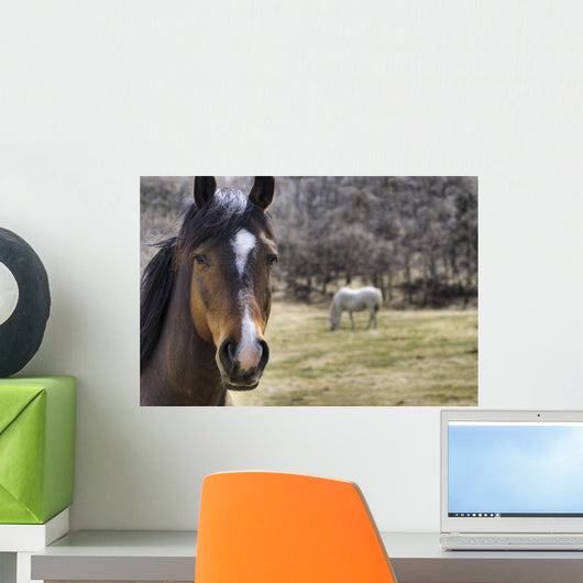Portrait Of A Horse Wall Mural