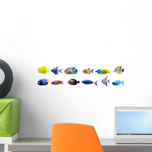 Various Tropical Fish Wall Decal Sticker Set