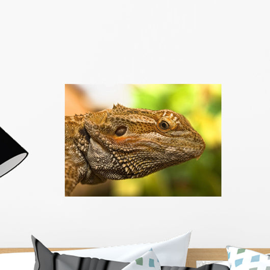 Portrait Of A Bearded Dragon Wall Mural