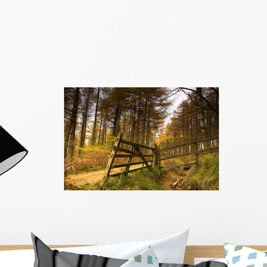 Forest, Yorkshire, England Wall Mural