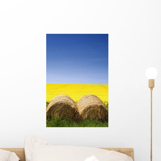 Hay Bales And Canola Field, North Yorkshire, England Wall Mural