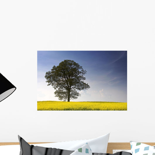Tree In A Rapeseed Field, Yorkshire, England Wall Mural