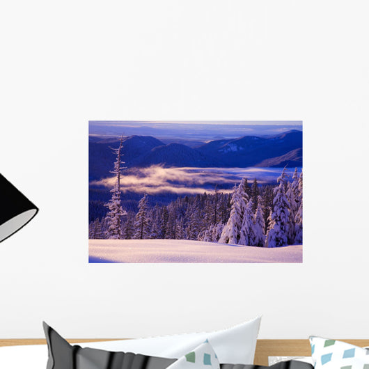 Winter Snow, Cascade Range, Oregon, Usa Wall Mural